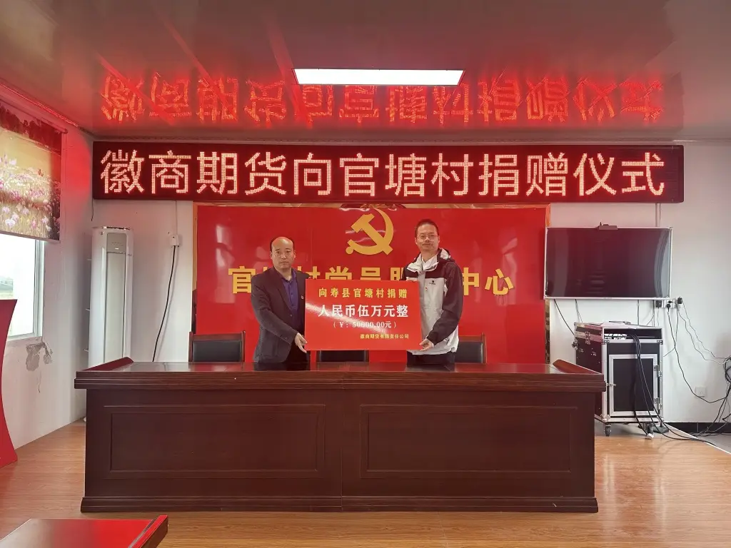 20241121深化党建引领 助力官塘振兴1+孙慧