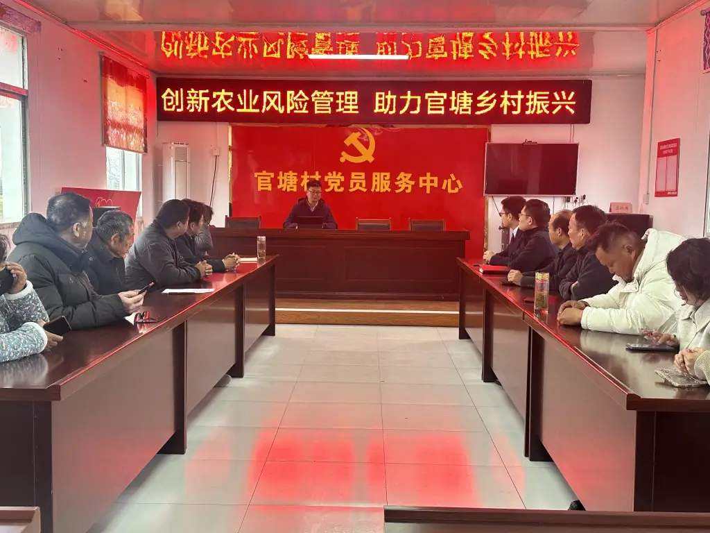 20241121深化党建引领 助力官塘振兴2+孙慧