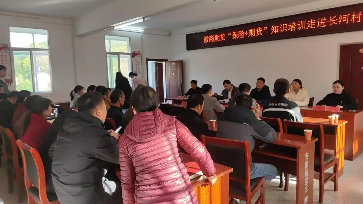 20241204徽商期货美丽乡村行——走进六安市长河村2+宋卓尔
